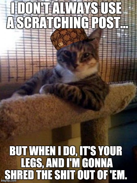 The Most Interesting Cat In The World | I DON'T ALWAYS USE A SCRATCHING POST... BUT WHEN I DO, IT'S YOUR LEGS, AND I'M GONNA SHRED THE SHIT OUT OF 'EM. | image tagged in memes,the most interesting cat in the world,scumbag | made w/ Imgflip meme maker