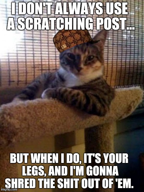 The Most Interesting Cat In The World Meme | I DON'T ALWAYS USE A SCRATCHING POST... BUT WHEN I DO, IT'S YOUR LEGS, AND I'M GONNA SHRED THE SHIT OUT OF 'EM. | image tagged in memes,the most interesting cat in the world,scumbag | made w/ Imgflip meme maker