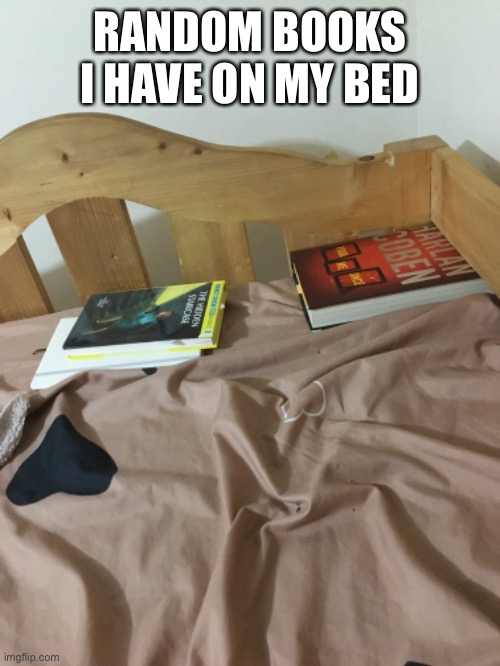 Book nerd moment lol | RANDOM BOOKS I HAVE ON MY BED | made w/ Imgflip meme maker