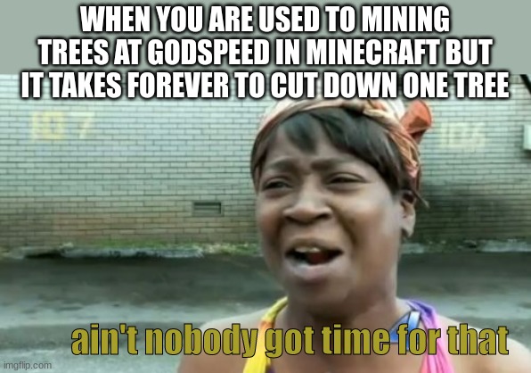 Ain't Nobody Got Time For That Meme | WHEN YOU ARE USED TO MINING TREES AT GODSPEED IN MINECRAFT BUT IT TAKES FOREVER TO CUT DOWN ONE TREE; ain't nobody got time for that | image tagged in memes,ain't nobody got time for that | made w/ Imgflip meme maker