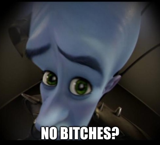 Megamind peeking | NO BITCHES? | image tagged in no bitches | made w/ Imgflip meme maker
