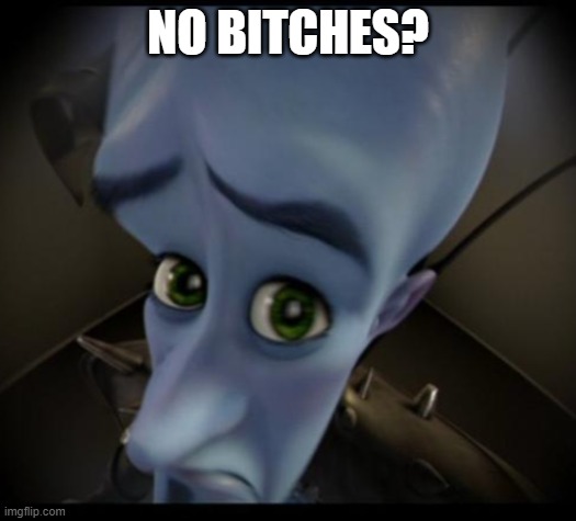 Megamind peeking | NO BITCHES? | image tagged in no bitches | made w/ Imgflip meme maker