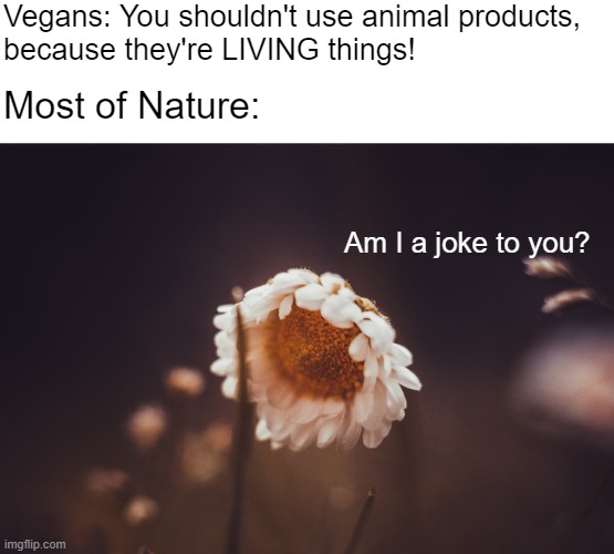 * screeches in diced tomato | Vegans: You shouldn't use animal products, 
because they're LIVING things! Most of Nature:; Am I a joke to you? | made w/ Imgflip meme maker