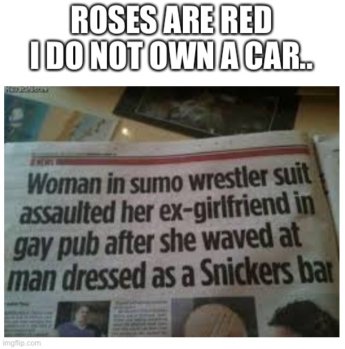 Me who just wanted to dress as a snickers bar :/ | ROSES ARE RED
I DO NOT OWN A CAR.. | image tagged in memes,funny | made w/ Imgflip meme maker