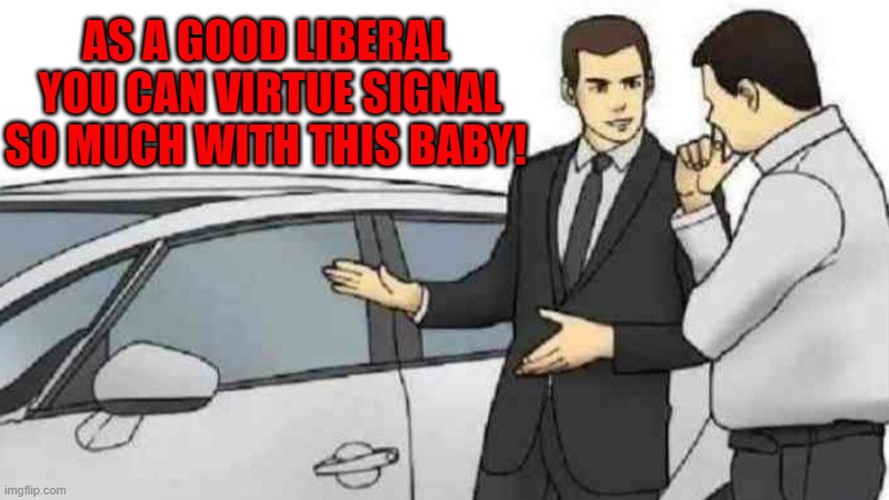 It's even propaganda endorsed by the mainstream media! | AS A GOOD LIBERAL  YOU CAN VIRTUE SIGNAL SO MUCH WITH THIS BABY! | image tagged in memes,car salesman slaps roof of car | made w/ Imgflip meme maker