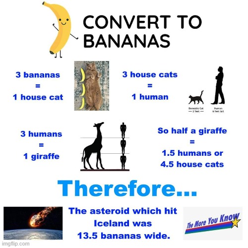 BANANA logic CONFIRMMMM?! | image tagged in banana,good,cats,human,giraffe,asteroid | made w/ Imgflip meme maker
