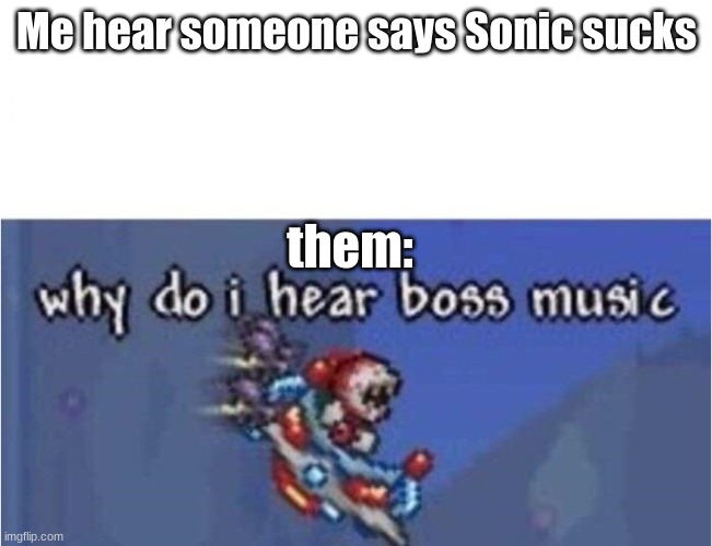 why do i hear boss music | Me hear someone says Sonic sucks; them: | image tagged in why do i hear boss music,sonic the hedgehog | made w/ Imgflip meme maker