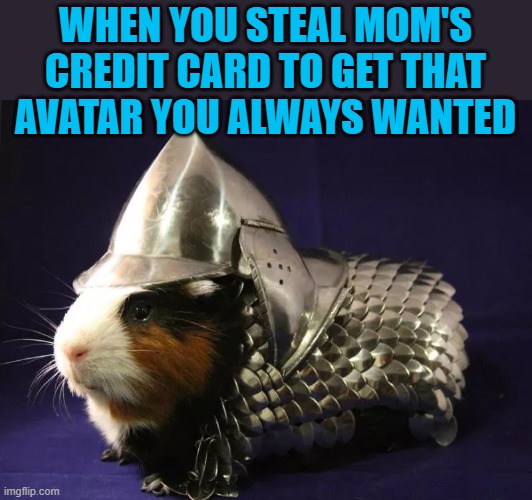 Custom armor and ready for battle! | WHEN YOU STEAL MOM'S CREDIT CARD TO GET THAT AVATAR YOU ALWAYS WANTED | image tagged in memes,guinea pig battle armor,avatar,credit card,mom | made w/ Imgflip meme maker
