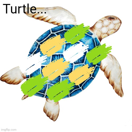 Wordle Turtle | Turtle... | image tagged in wordle,turtle | made w/ Imgflip meme maker