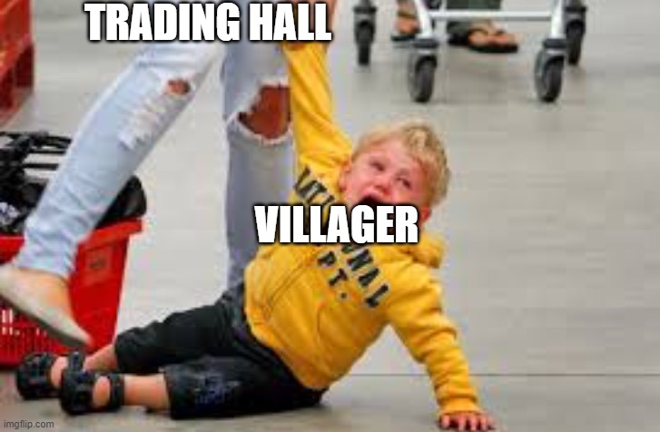 Tantrum store | TRADING HALL; VILLAGER | image tagged in tantrum store | made w/ Imgflip meme maker
