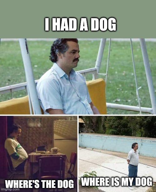 Sad Pablo Escobar | I HAD A DOG; WHERE IS MY DOG; WHERE'S THE DOG | image tagged in memes,sad pablo escobar | made w/ Imgflip meme maker