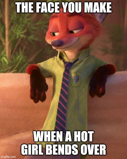 Nick's Gaze | THE FACE YOU MAKE; WHEN A HOT GIRL BENDS OVER | image tagged in nick wilde looking down,zootopia,nick wilde,the face you make when,funny,memes | made w/ Imgflip meme maker