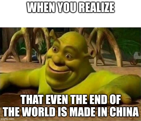 shrek | WHEN YOU REALIZE; THAT EVEN THE END OF THE WORLD IS MADE IN CHINA | image tagged in shrek | made w/ Imgflip meme maker