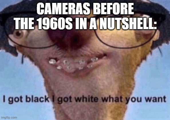 i got black i got white thats it | CAMERAS BEFORE THE 1960S IN A NUTSHELL: | image tagged in i got black i got white what ya want | made w/ Imgflip meme maker