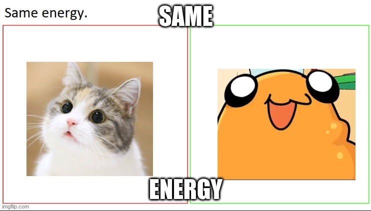 same energy | SAME; ENERGY | image tagged in same energy | made w/ Imgflip meme maker