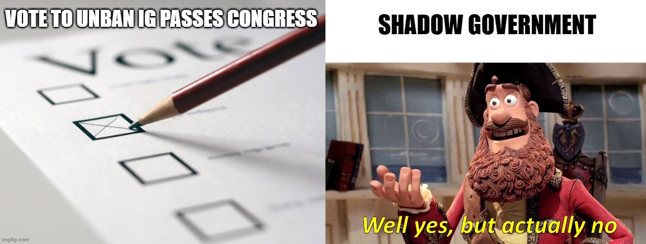 Congress Votes Yes, but Vote Isn't Honored | SHADOW GOVERNMENT; VOTE TO UNBAN IG PASSES CONGRESS | image tagged in voting ballot,memes,well yes but actually no | made w/ Imgflip meme maker