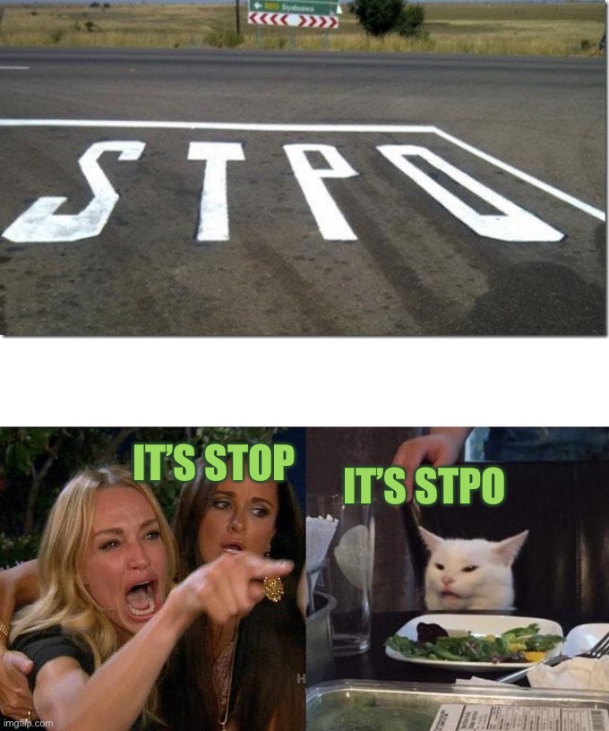 Stpo | IT’S STPO; IT’S STOP | image tagged in memes,woman yelling at cat | made w/ Imgflip meme maker