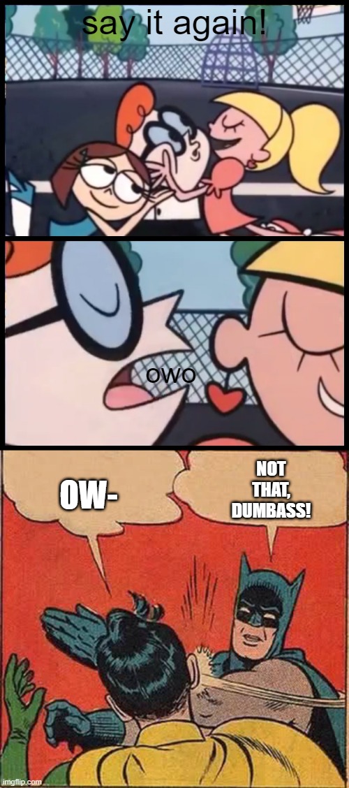 Whats the point of saying that anyways | say it again! owo; NOT THAT, DUMBASS! OW- | image tagged in memes,say it again dexter,batman slapping robin | made w/ Imgflip meme maker