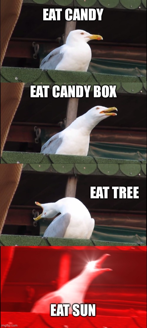 Inhaling Seagull Meme | EAT CANDY; EAT CANDY BOX; EAT TREE; EAT SUN | image tagged in memes,inhaling seagull | made w/ Imgflip meme maker