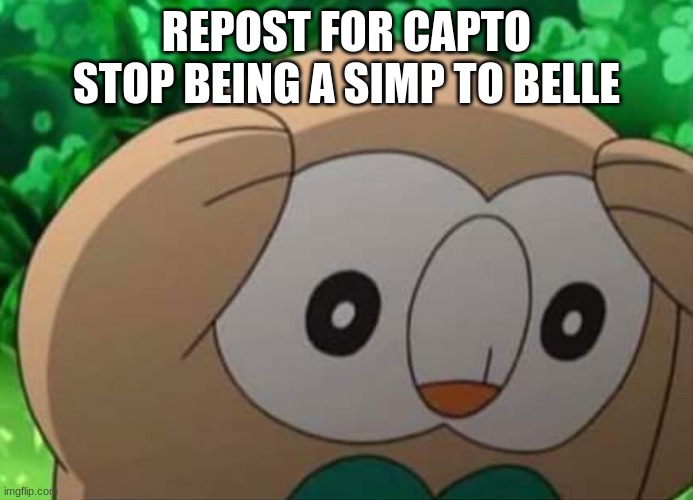 Distressed Rowlet | REPOST FOR CAPTO STOP BEING A SIMP TO BELLE | image tagged in distressed rowlet | made w/ Imgflip meme maker