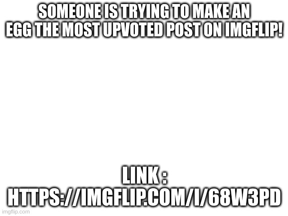 HELP THE EGG!!! | SOMEONE IS TRYING TO MAKE AN EGG THE MOST UPVOTED POST ON IMGFLIP! LINK : HTTPS://IMGFLIP.COM/I/68W3PD | image tagged in blank white template | made w/ Imgflip meme maker