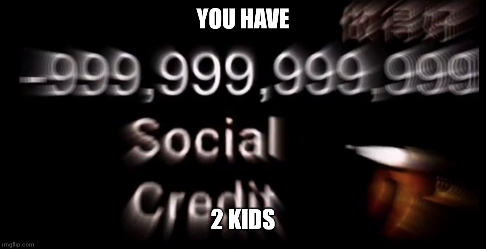 send this to who have 2 kids | YOU HAVE; 2 KIDS | image tagged in -999 999 999 999 social credit,you have 2 kids,john xina,bing chilling,taiwan is a country | made w/ Imgflip meme maker