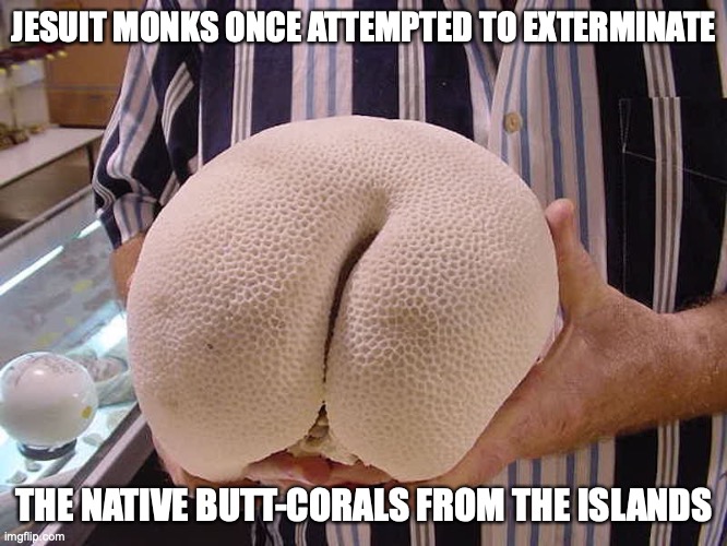 Butt Corals | JESUIT MONKS ONCE ATTEMPTED TO EXTERMINATE; THE NATIVE BUTT-CORALS FROM THE ISLANDS | image tagged in memes,funny,coral | made w/ Imgflip meme maker