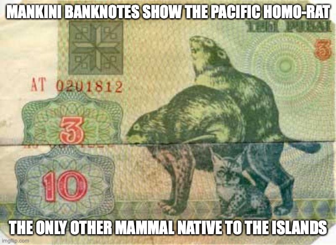 Foreign Money Going Wild | MANKINI BANKNOTES SHOW THE PACIFIC HOMO-RAT; THE ONLY OTHER MAMMAL NATIVE TO THE ISLANDS | image tagged in mankini,memes,funny | made w/ Imgflip meme maker