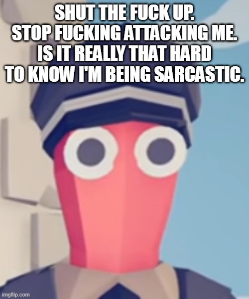 like, find a bullet you can jump in front of or something. why are some people still attacking me. *satire | SHUT THE FUCK UP. STOP FUCKING ATTACKING ME. IS IT REALLY THAT HARD TO KNOW I'M BEING SARCASTIC. | image tagged in tabs stare | made w/ Imgflip meme maker