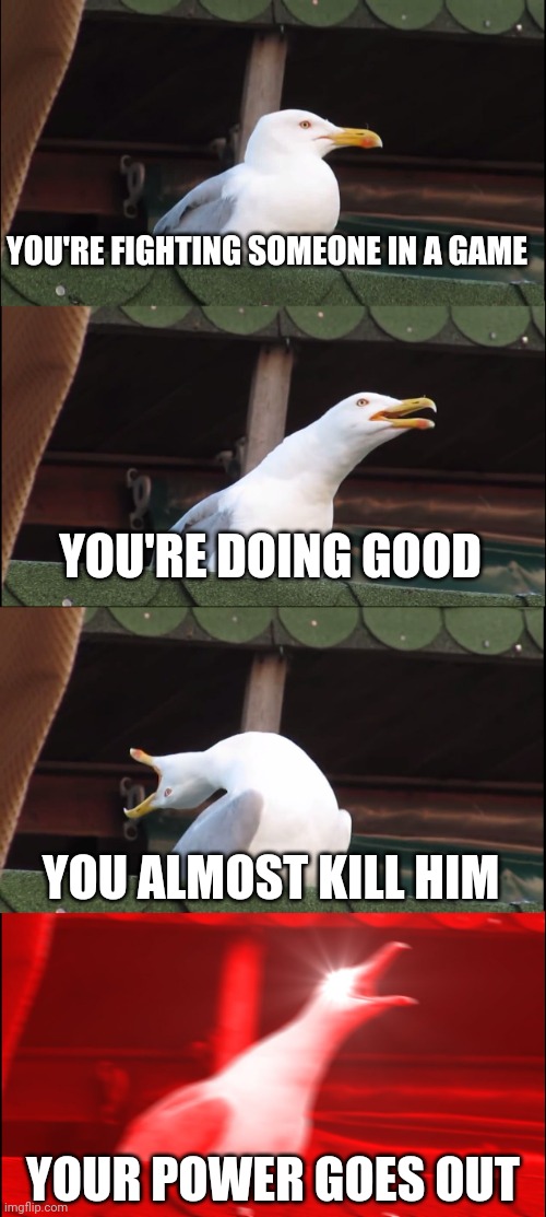 Gaming be like | YOU'RE FIGHTING SOMEONE IN A GAME; YOU'RE DOING GOOD; YOU ALMOST KILL HIM; YOUR POWER GOES OUT | image tagged in memes,inhaling seagull | made w/ Imgflip meme maker