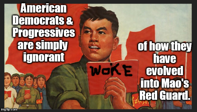 Mao's Democrat Cancel Culture Mob: Ignorant, indoctrinated, self-absorbed, socially disosiated, foul-mouthed & nasty. | American
Democrats & 
Progressives
are simply 
ignorant; of how they
have evolved
into Mao's
Red Guard. | image tagged in memes,politics | made w/ Imgflip meme maker