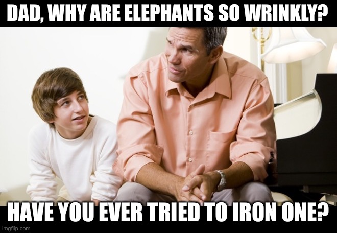 Wrinkle | DAD, WHY ARE ELEPHANTS SO WRINKLY? HAVE YOU EVER TRIED TO IRON ONE? | image tagged in dad and son | made w/ Imgflip meme maker