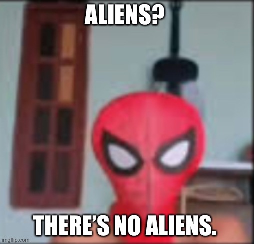 ALIENS? THERE’S NO ALIENS. | image tagged in spiderman | made w/ Imgflip meme maker