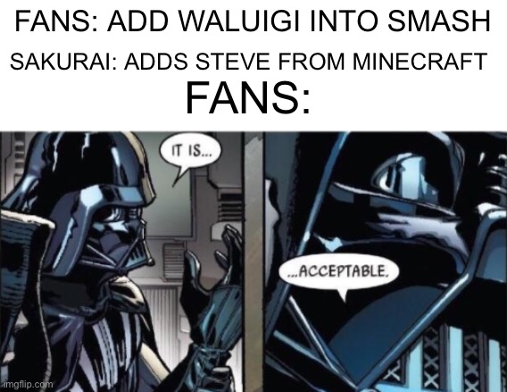 We wanted waluigi and got something 10 times better | FANS: ADD WALUIGI INTO SMASH; SAKURAI: ADDS STEVE FROM MINECRAFT; FANS: | image tagged in it is acceptable | made w/ Imgflip meme maker