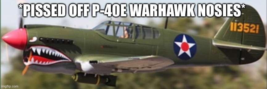 *PISSED OFF P-40E WARHAWK NOSIES* | made w/ Imgflip meme maker