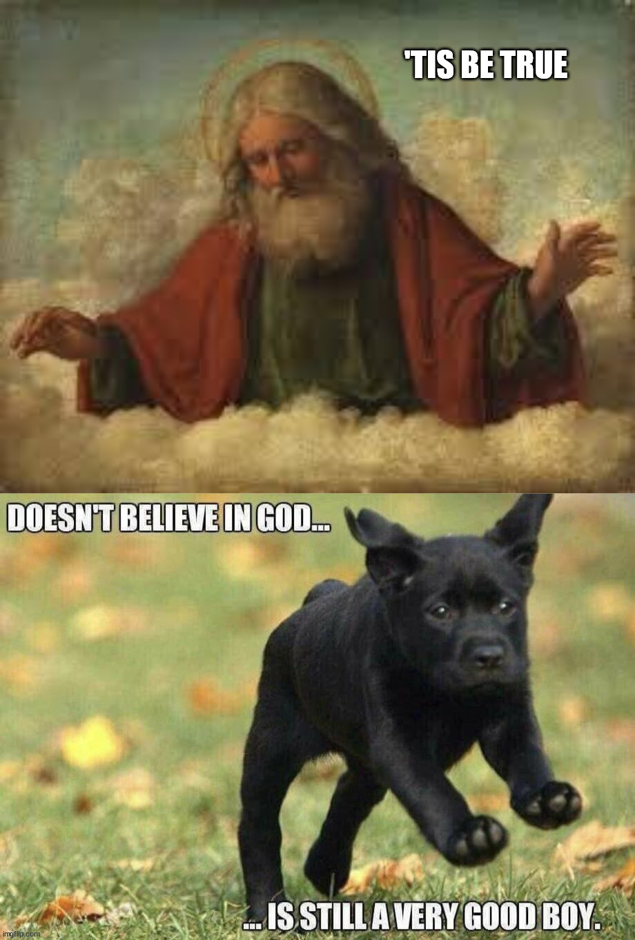 'TIS BE TRUE | image tagged in god,dogs | made w/ Imgflip meme maker