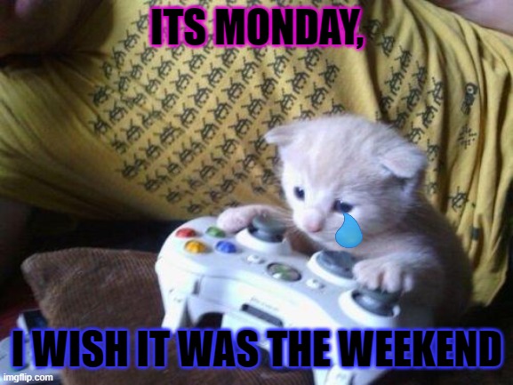 cute kitty on xbox | ITS MONDAY, I WISH IT WAS THE WEEKEND | image tagged in cute kitty on xbox | made w/ Imgflip meme maker