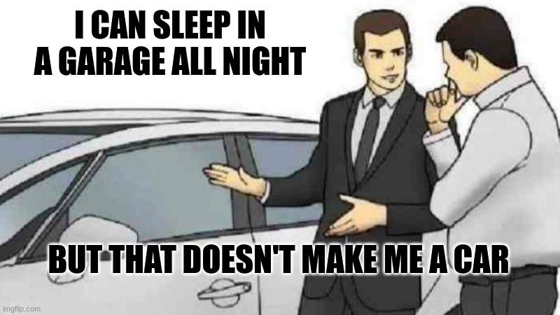 i identify as a car | I CAN SLEEP IN A GARAGE ALL NIGHT; BUT THAT DOESN'T MAKE ME A CAR | image tagged in memes,car salesman slaps roof of car | made w/ Imgflip meme maker