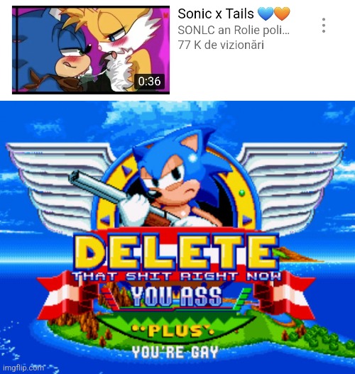 Bruh, You're looking real SUSSY over there | image tagged in sonic holding a shotgun to tell you to delete,sonic x tails,cringe,what can i say except delete this,not funny,we're all doomed | made w/ Imgflip meme maker