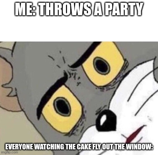 Me: Everyone else: | ME: THROWS A PARTY; EVERYONE WATCHING THE CAKE FLY OUT THE WINDOW: | image tagged in me everyone else,memes,funny,birthday | made w/ Imgflip meme maker