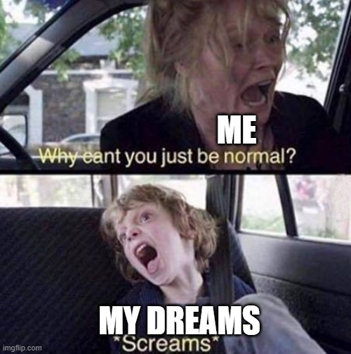 dreams be like | ME; MY DREAMS | image tagged in why can't you just be normal,dreams,excuse me what the heck | made w/ Imgflip meme maker