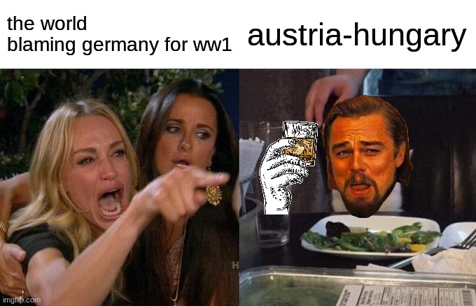 Facts | the world blaming germany for ww1; austria-hungary | image tagged in memes,woman yelling at cat | made w/ Imgflip meme maker