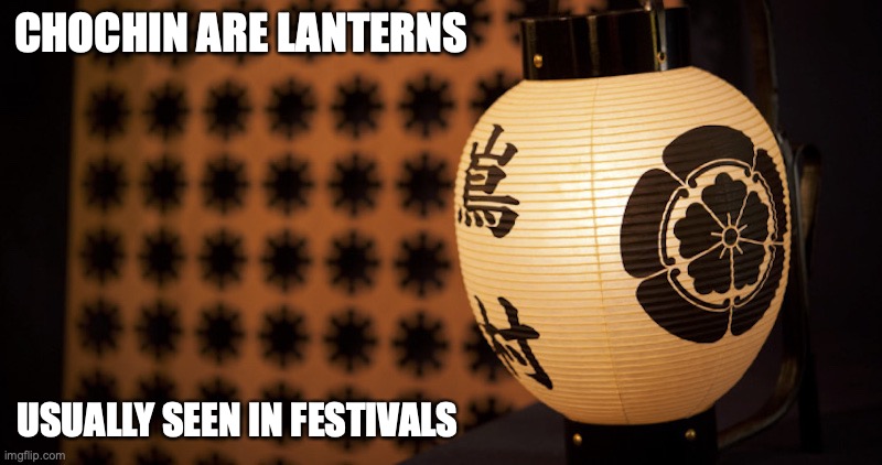 Chochin | CHOCHIN ARE LANTERNS; USUALLY SEEN IN FESTIVALS | image tagged in lanterns,memes | made w/ Imgflip meme maker