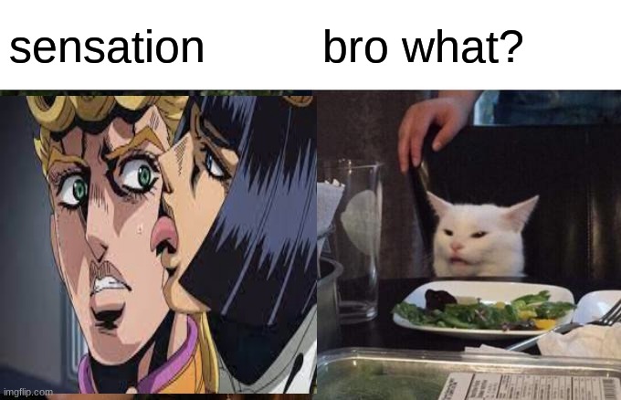 sensation; bro what? | image tagged in jojo's bizarre adventure | made w/ Imgflip meme maker