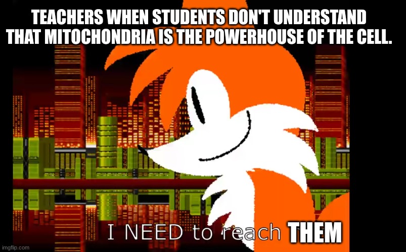 Needlemouse stuff | TEACHERS WHEN STUDENTS DON'T UNDERSTAND THAT MITOCHONDRIA IS THE POWERHOUSE OF THE CELL. THEM | image tagged in sonic the hedgehog | made w/ Imgflip meme maker