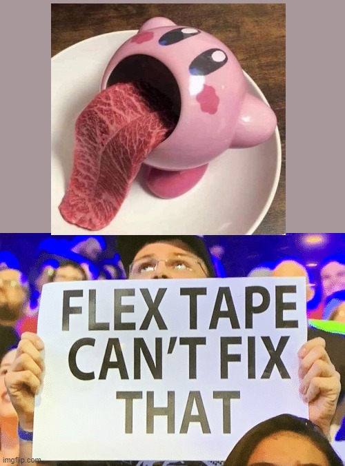 flex tape cant fix that | image tagged in flex tape cant fix that | made w/ Imgflip meme maker