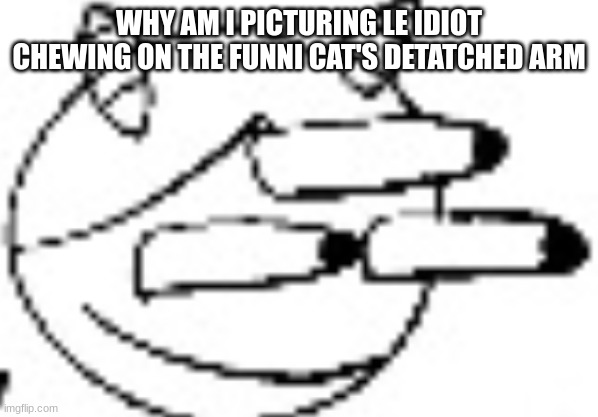 Idiot Staring | WHY AM I PICTURING LE IDIOT CHEWING ON THE FUNNI CAT'S DETATCHED ARM | image tagged in idiot staring | made w/ Imgflip meme maker