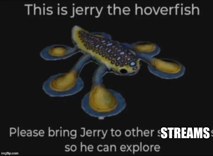 Please let jerry pass mods | image tagged in jerry is traveling | made w/ Imgflip meme maker