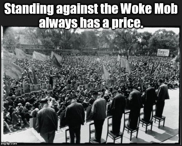 Stand against the Woke Mob of indoctinated ingrates and ignoramuses. Be real & not an empty-minded bot. | Standing against the Woke Mob
always has a price. | image tagged in memes,politics | made w/ Imgflip meme maker
