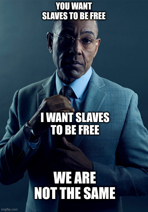 Gus Fring we are not the same | YOU WANT SLAVES TO BE FREE; I WANT SLAVES TO BE FREE; WE ARE NOT THE SAME | image tagged in gus fring we are not the same | made w/ Imgflip meme maker